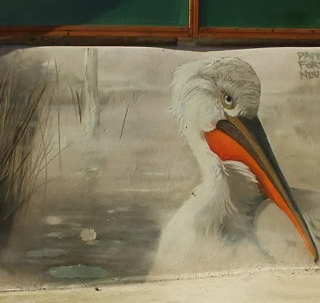 ゲストハウス Pelican Lake Srebarna