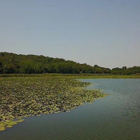 Pelican Lake Srebarna ゲストハウス Silistra