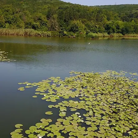 Pelican Lake Srebarna Silistra